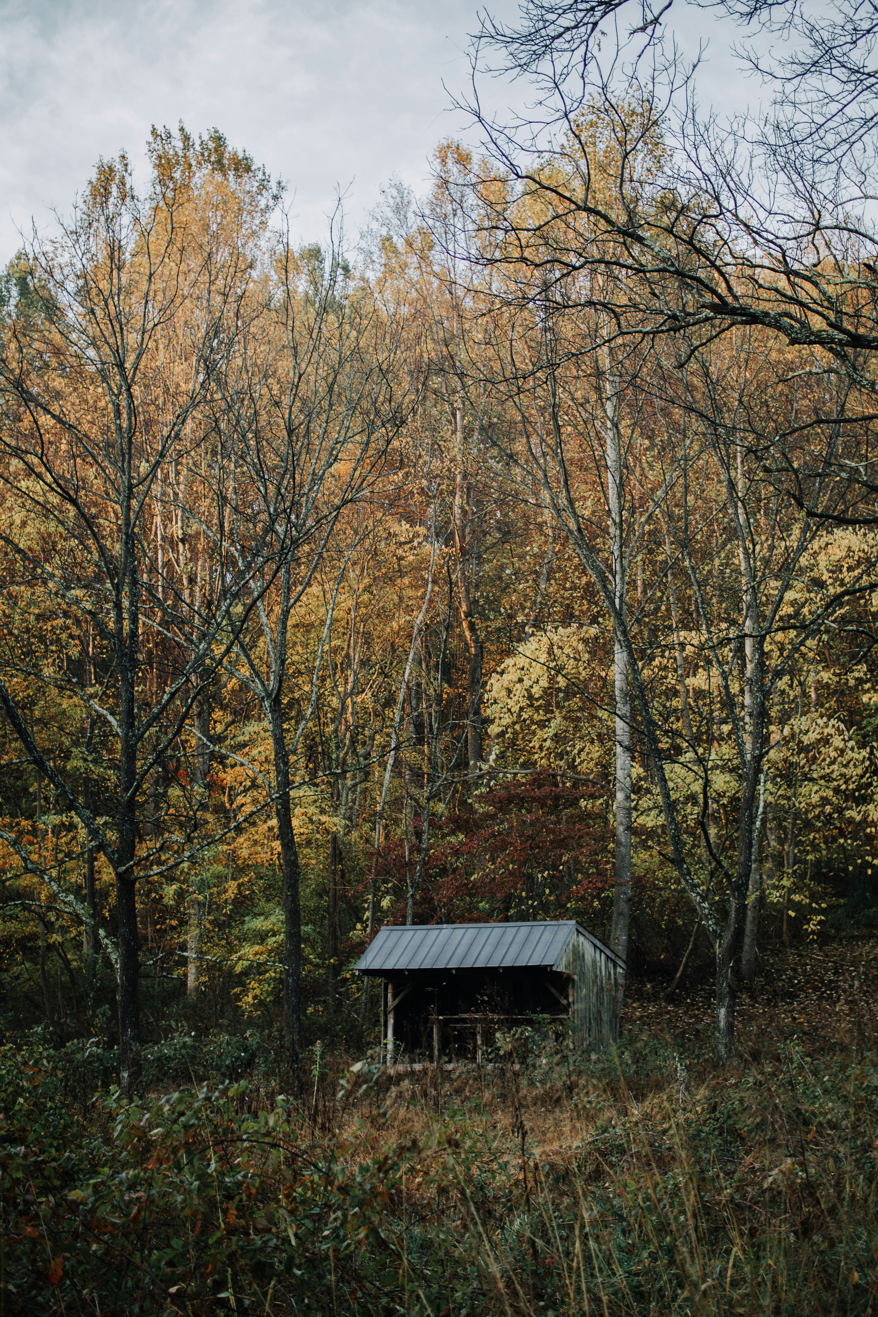 gray shed on grass field